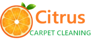 Citrus Carpet Cleaning Suwanee GA